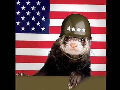 ������ � ����������!