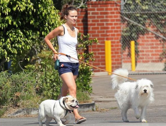 ������ ����� � �� ������