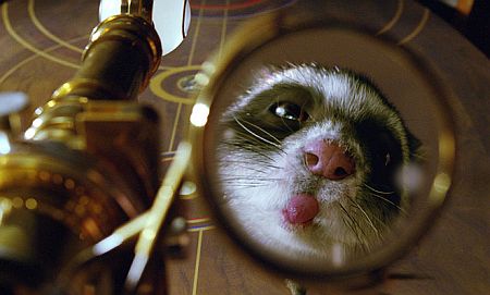 ������������ ���������� �������� �������