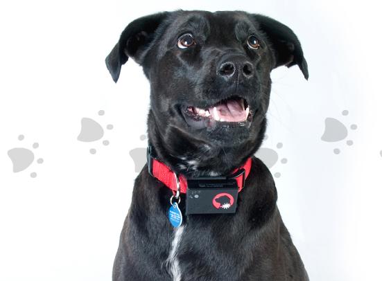 ������� � GPS