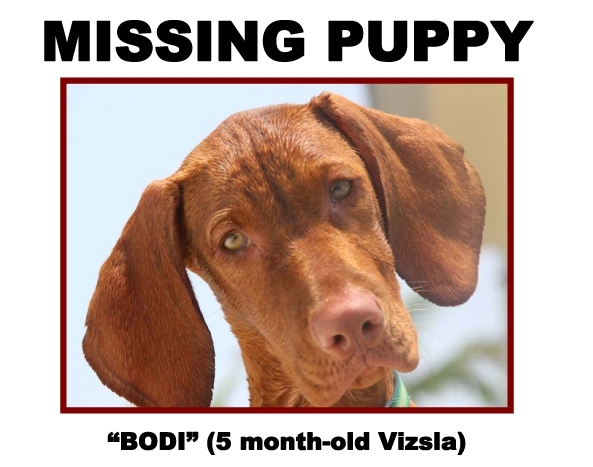 ���������, ������!