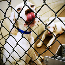 ������� ������ � �������