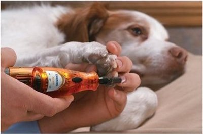 �������������� ������� ��� ������