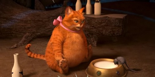 ���� - �����!