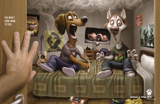 ������ ����� ������� ������?