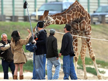 � ���� ��� ����� ��������