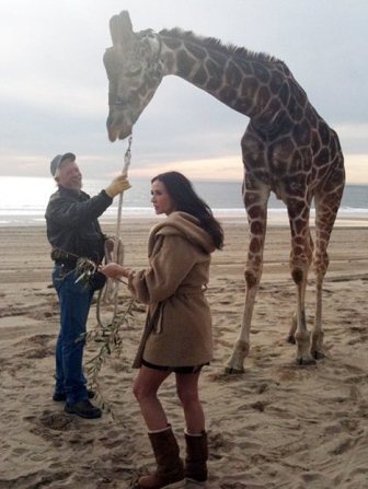 � ���� ��� ����� ��������