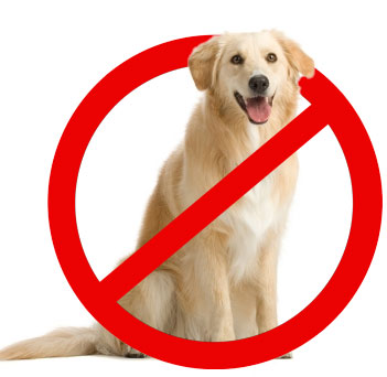 ������ ��������...�� ��������. ������ � ����� ��� ������