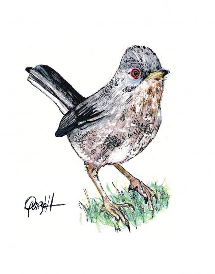 ������ ��������...�� ��������. ������ � ����� ��� ������