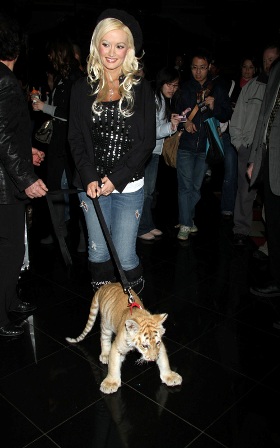 �������� ����������