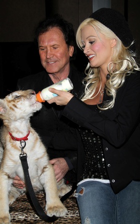 �������� ����������