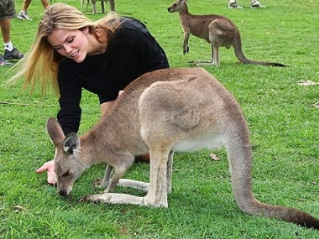 ���� ������ � ������� ����� ������������� � ������