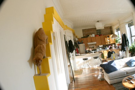 �������� ��� �����