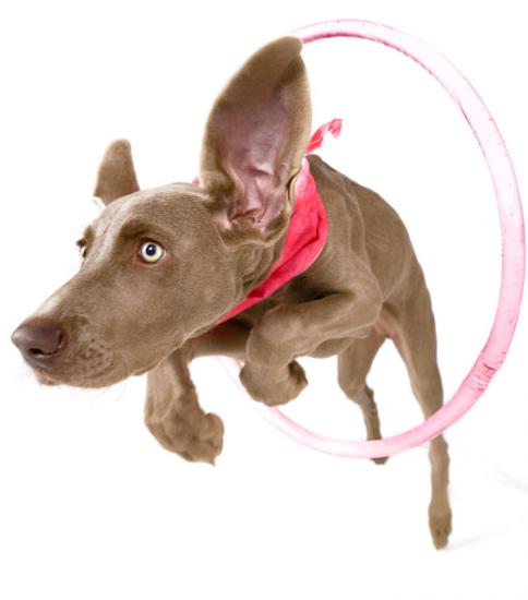 ��� 10 �����, ������� ����� ����� �����������