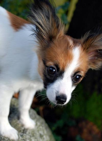 ��� 10 �����, ������� ����� ����� �����������