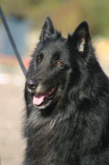 ��� 10 �����, ������� ����� ����� �����������