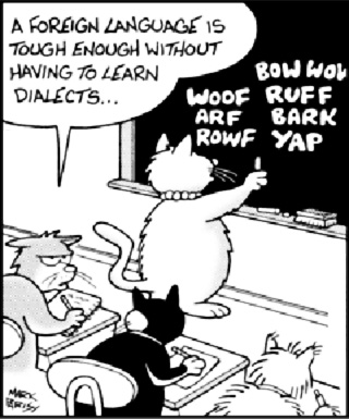 ������-��������: �� �� ������, �� �����