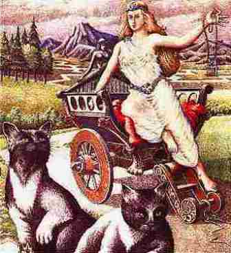 ���� �����