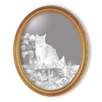 ���������� ��� ��������� �����