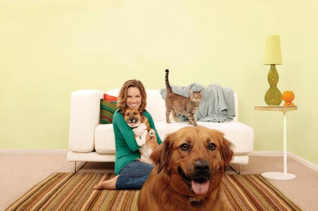 ����� ��������� �� ���������� �������� �� ���������