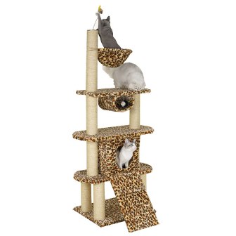 ������� ��� �����