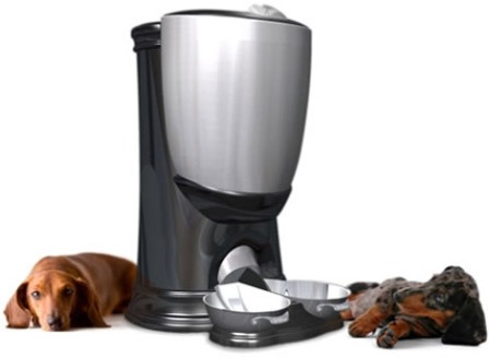 ��������������  �������� ��� ��������