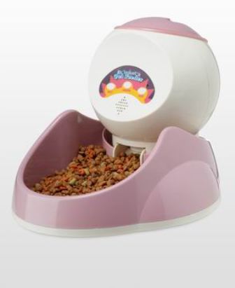 ��������������  �������� ��� ��������