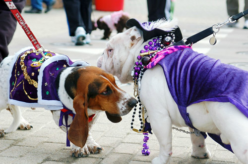 ���� ���� ����������