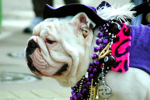 ���� ���� ����������