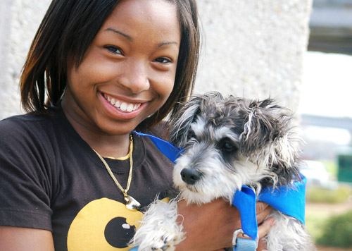 ���� ���� ����������