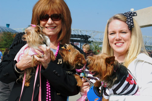 ���� ���� ����������