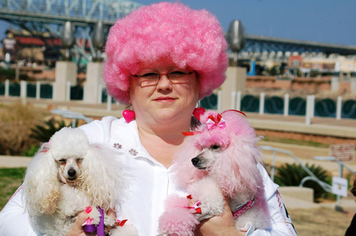 ���� ���� ����������