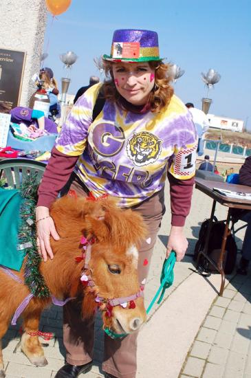 ���� ���� ����������