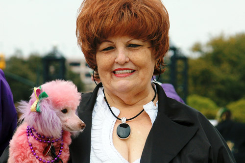 ���� ���� ����������