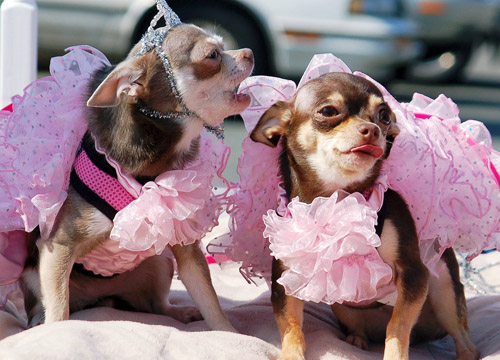 ���� ���� ����������