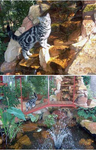 ��� ��� ����� ��������� � ���������