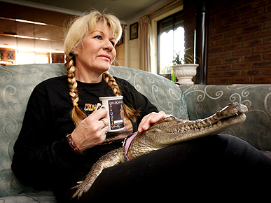 ����� ��������� �������� ��������