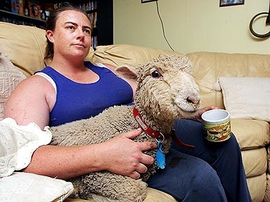 ����� ��������� �������� ��������