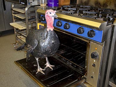 ����� ��������� �������� ��������