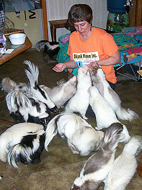 ����� ��������� �������� ��������