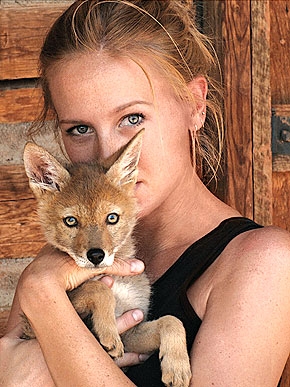 ����� ��������� �������� ��������