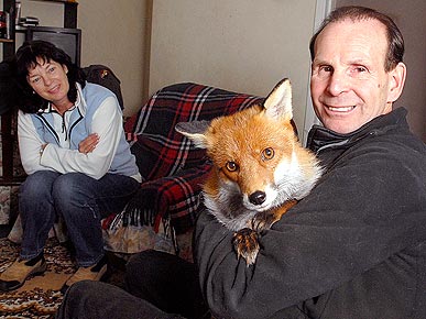 ����� ��������� �������� ��������