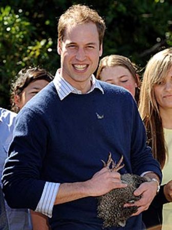 ����� � ����