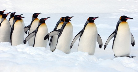 �����-������!