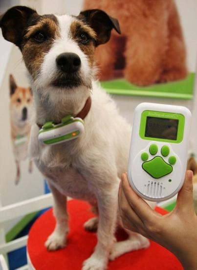 � ��������� �� ���������, ��� ��������� ��������