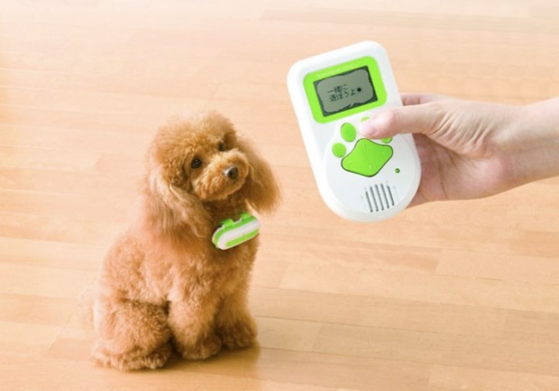 � ��������� �� ���������, ��� ��������� ��������