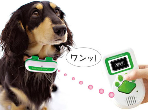 � ��������� �� ���������, ��� ��������� ��������