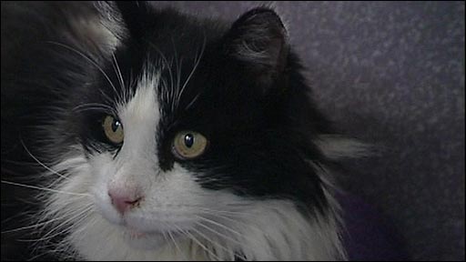 ��������� ����� ��������� ��� ��������������