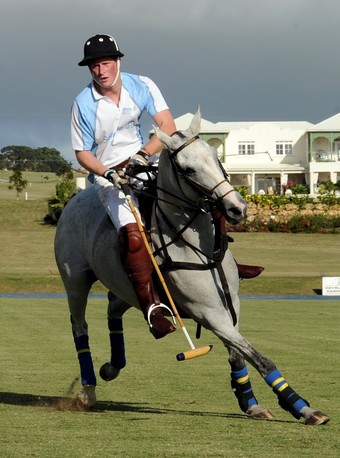 ����� ����� ���� � ����