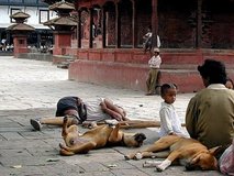 ������ ��� ���������� ���